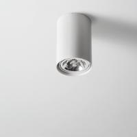 Lampa sufitowa PROXA NT QR111 50W 3.0414 Labra Natynkowa tuba o wys. 20 cm i śr. 13.3 cm