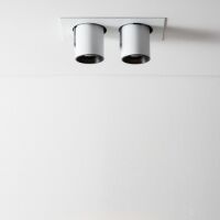 Lampa wpuszczana Auro Base 60x2 WP Labra  4.1167 prostokątna podstawa tuby dwie techniczne regulowane wystające LED różne kolory wykończenia