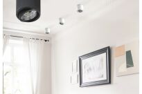 Lampa sufitowa natynkowa ALIX  230V AZ3541 Azzardo techniczna białą tuba na źródło światła es111 okrągła 　 - 2