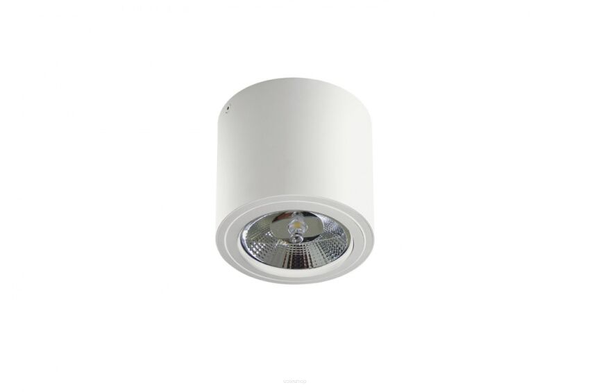 Lampa sufitowa natynkowa ALIX  230V AZ3541 Azzardo techniczna białą tuba na źródło światła es111 okrągła 　