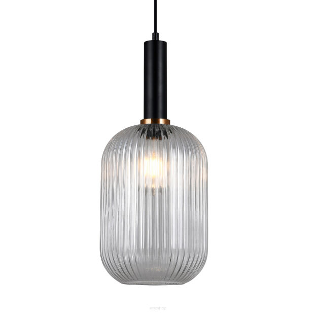 Lampa wisząca ANTIOLA PND-5588-1L-BK+CL Italux SZKLANY TRANSPARENTNY KLOSZ  CZARNE AKCENTY ŚREDNICA 20 CM