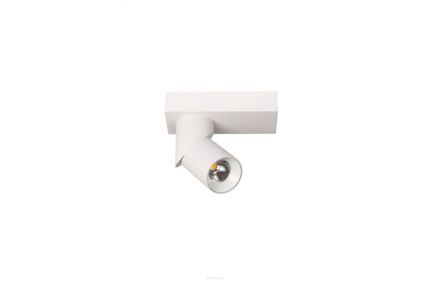 Reflektor lampa sufitowa natynkowa  SANTOS EXPOSED ROUND AZ3508 Azzardo kolor biały wbudowany moduł LED regulowany kąt padania strumienia światła