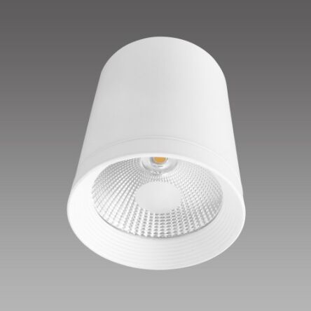 Lampa sufitowa natynkowa Zovo 1 LP-32015/1SM WH Light Prestige techniczna biała