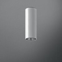 Lampa sufitowa natynkowa  Aquaform Pet Fine 25  tuba 46411