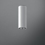 Lampa sufitowa natynkowa  Aquaform Pet Fine 25  tuba 46411