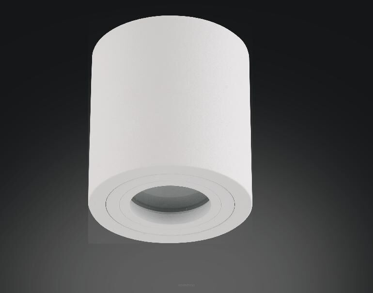 Lampa sufitowa natynkowa RULLO BIANCO IP44  techniczna tuba okrągła biała