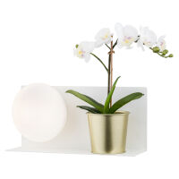 Kinkiet Calvia 4241 Argon półka biała LED