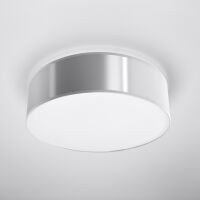 Nowoczesna Lampa Sufitowa Okrągły Plafon ARENA 35 SL. 0122 klosz z tworzywa sztucznego w kolorze aluminium w kształcie walca