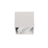 Oprawy natynkowe CARDI I BIANCO ORLICKI DESIGN nowoczesna Metal / Białe Mat