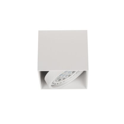 Oprawy natynkowe CARDI I BIANCO ORLICKI DESIGN nowoczesna Metal / Białe Mat