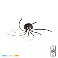 2200012-BK DIOGO LAMPA SUFITOWA CZARNA/BLACK ZUMALINE