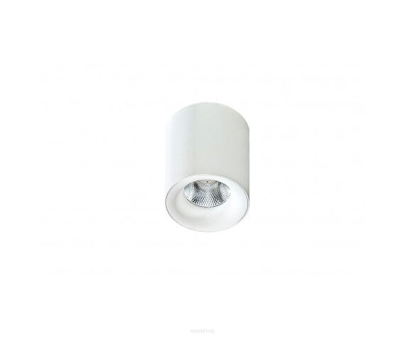 Lampa sufitowa techniczna Plafon Mane AZ2845 AZzardo okrągła oprawa w kolorze białym tuba 3000K/4000K