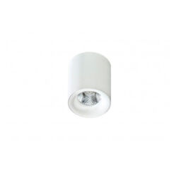 Lampa sufitowa techniczna Plafon Mane AZ2845 AZzardo okrągła oprawa w kolorze białym tuba 3000K/4000K