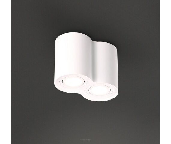 Plafon Basic Round II C0085 tuba podwójna aluminium Maxlight Metalowe elementy w kolorze białym techniczna