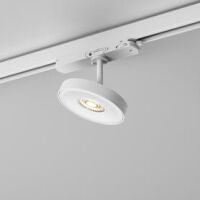 Reflektor do szyny KARI 11 LED track AQForm czarny lub biały