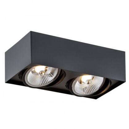 Lampa sufitowa natynkowa  RODOS PLUS 1049 Argon czarna 2x ES111 stal