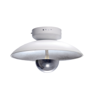 Lampa sufitowa Sydney - C01048WH AG wykonana jest z metalu o wykończeniu biało srebrnym w stylu nowoczesnym kosmiczna lampa  