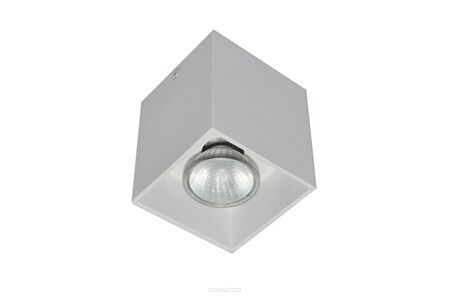 PLAFON ZUMA LINE SQUARE SPOT 50475-WH Z ALUMINIUM W KOLORZE BIAŁYM  NOWOCZESNY  PROSTOKĄT