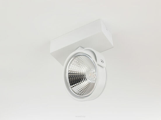 LAMPA SCIENNA -KINKIET LED AR111 BIAŁY RAF - ZESTAW