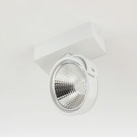 LAMPA SCIENNA -KINKIET LED AR111 BIAŁY RAF - ZESTAW