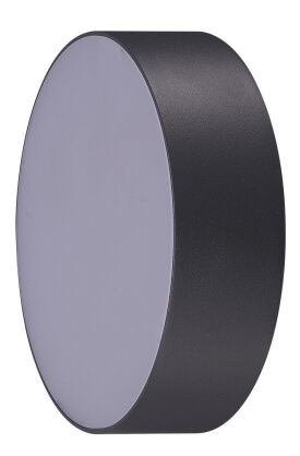 Plafon CASPER ROUND Azzardo okrągły zewnętrzny łazienkowy IP54 4000K/3000K CIEMNY SZARY