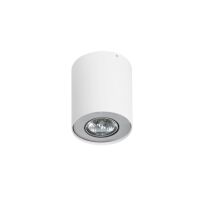 Plafon Neos 1 White/Alu AZzardo FH31431B WH/ALU AZ0606 techniczna tuba biała/aluminium