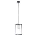 Lampa wisząca DAISY MD-BR4367-D1 GR Italux  SZARA metalowa oprawa szklany klosz G9 - 3