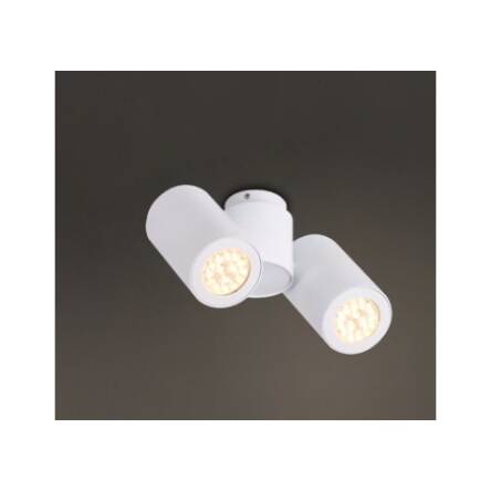 Lampa ścienna Plafon Barro II C0113 WH Maxlight  Metalowe elementy w kolorze białym techniczny