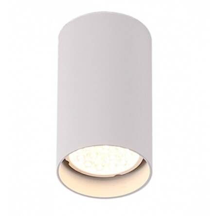 Lampa sufitowa Plafon Pet Round New C0141 Maxlight biała oprawa sufitowa techniczna okrągła 10 cm wysokości