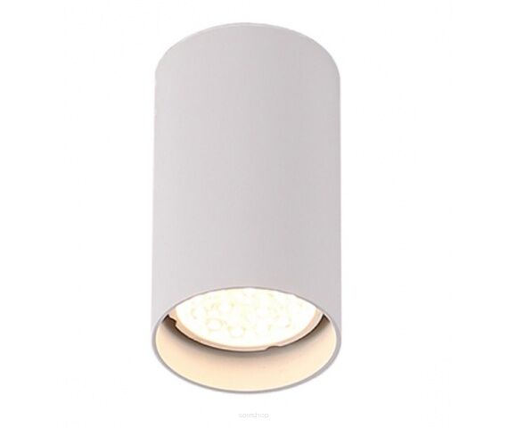 Lampa sufitowa Plafon Pet Round New C0141 Maxlight biała oprawa sufitowa techniczna okrągła 10 cm wysokości