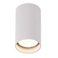Lampa sufitowa Plafon Pet Round New C0141 Maxlight biała oprawa sufitowa techniczna okrągła 10 cm wysokości