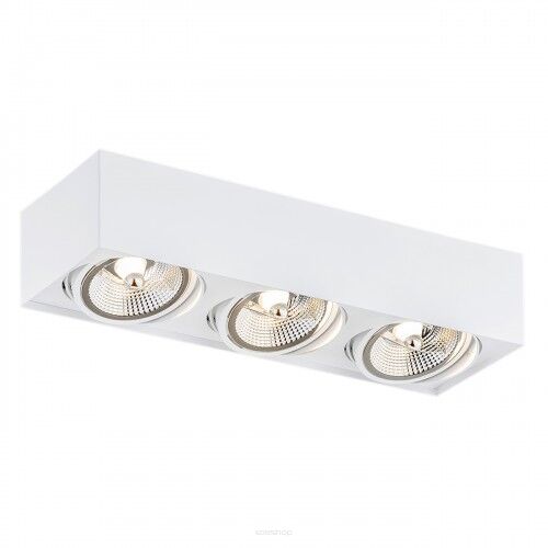 Lampa sufitowa natynkowa  RODOS PLUS 6117 Argon biała 3x ES111 techniczna