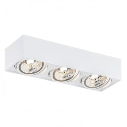 Lampa sufitowa natynkowa  RODOS PLUS 6117 Argon biała 3x ES111 techniczna