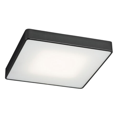 Plafon ONTARIO 3576 Argon Kwadratowy czarny-biały LED 21W