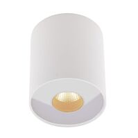 Plafon PLAZMA C0152 MAXlight Biała tuba techniczna funkcjonalna LED IP54 