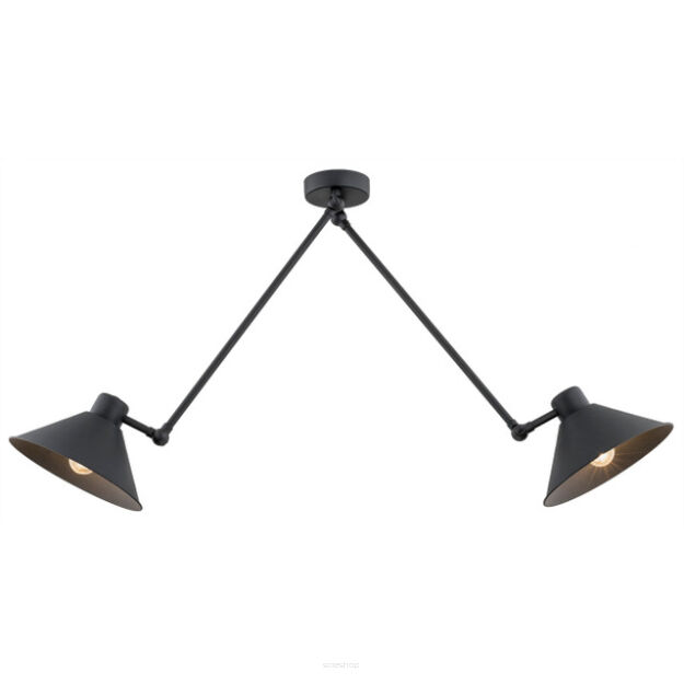 Lampa wisząca ALTEA 862 Argon Podwójna regulowane wysięgniki