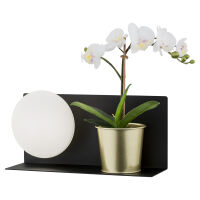 Kinkiet Calvia 4242 Argon półka czarna LED