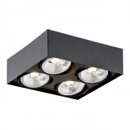 Lampa sufitowa natynkowa  RODOS PLUS 1745 Argon czarna 4x ES111 stal