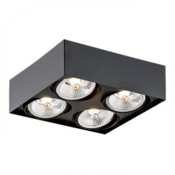 Lampa sufitowa natynkowa  RODOS PLUS 1745 Argon czarna 4x ES111 stal