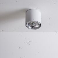 Oprawa natynkowa Nex 1 NT 50W Labra 3.0405 tuba techniczna ruchome oczko QR111 różne kolory wykończenia