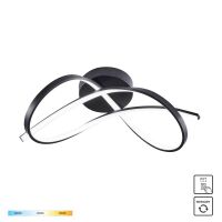 19602C-BK PAUL LAMPA SUFITOWA CZARNA/BLACK ZUMALINE