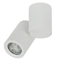   Reflektor CROSTI CANNA S Biała OXYLED M 453862 biały regulowany techniczny