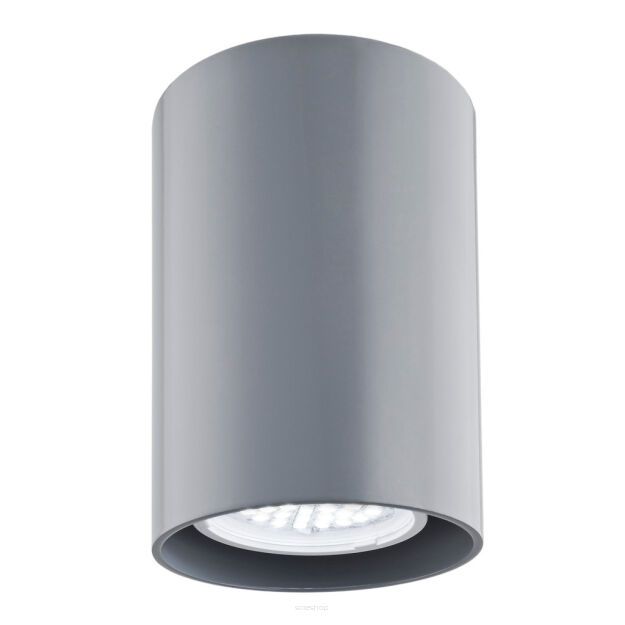 Lampa sufitowa TYBER 3120 Argon Szara Techniczna o wys. 11 cm i śr. 7 cm