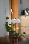 Lampa stołowa Kurage 1L E27 109179 Markslojd antyczny mosiądz/biała 43cm, klosz  Ø26cm - 3