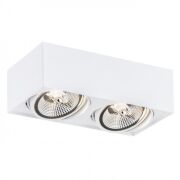 Lampa sufitowa natynkowa  RODOS PLUS 1048 Argon biała 2xES111 stalowa