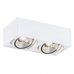 Lampa sufitowa natynkowa  RODOS PLUS 1048 Argon biała 2xES111 stalowa